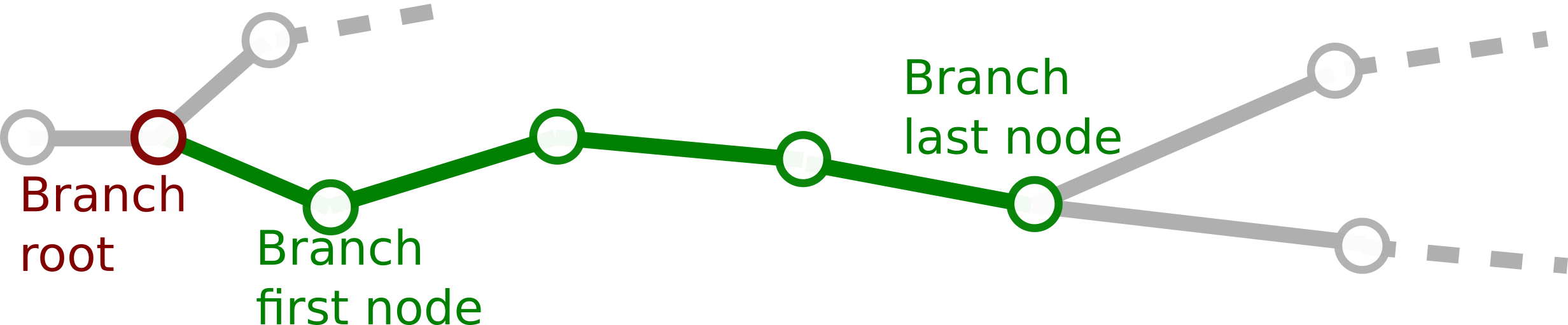 Branch schema