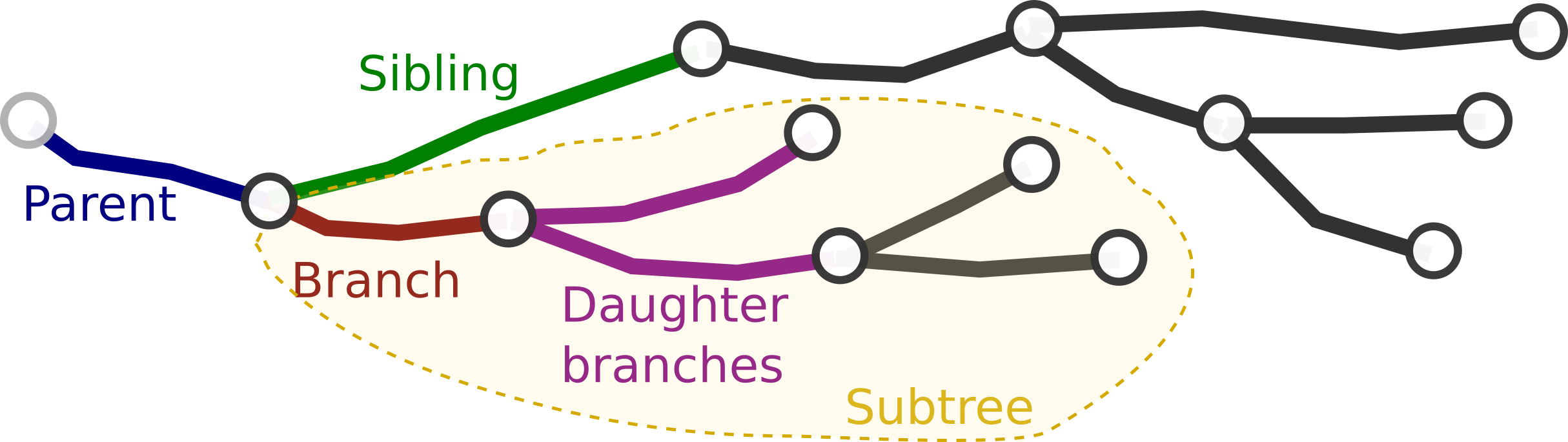 Branch within a neurite